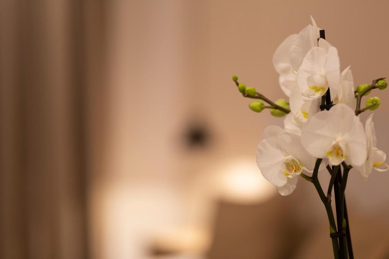 Room Boutique 32 Denia Dış mekan fotoğraf
